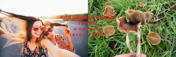 сатива Нея