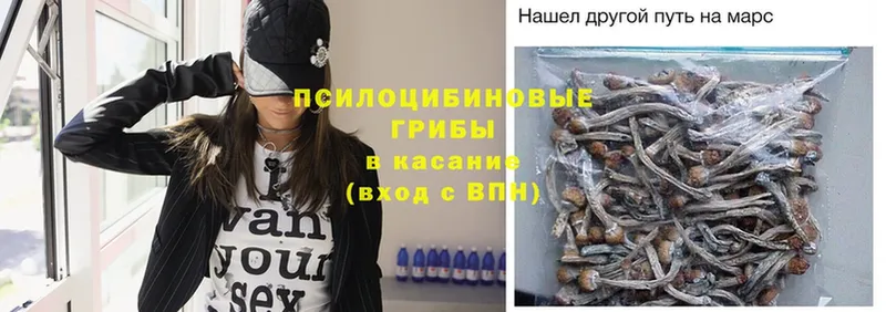 Псилоцибиновые грибы Magic Shrooms  Кувандык 