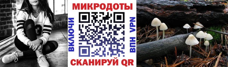 MEGA зеркало  хочу   Кувандык  Псилоцибиновые грибы MAGIC MUSHROOMS 