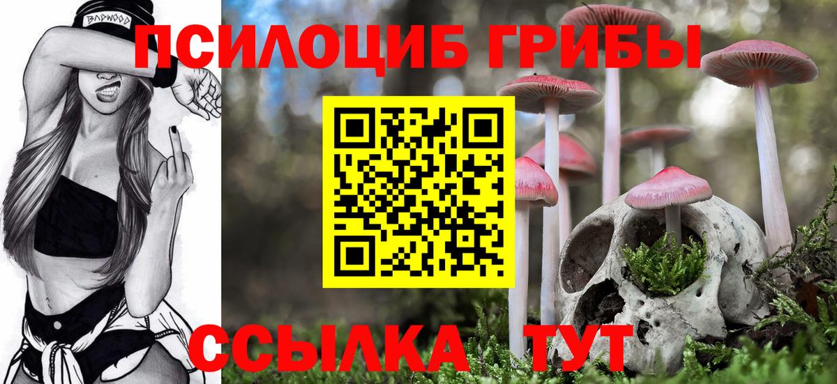 Галлюциногенные грибы Psilocybine cubensis Кувандык