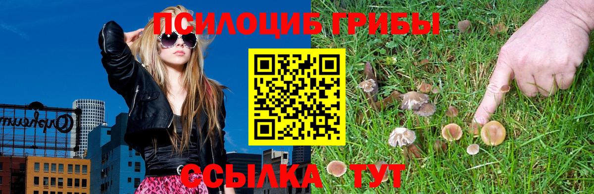 Кувандык  Галлюциногенные грибы прущие грибы  Вход с VPN 