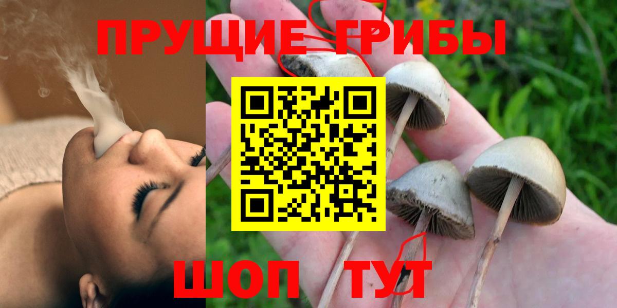 Галлюциногенные грибы Psilocybine cubensis  Кувандык  Галлюциногенные грибы мухоморы 